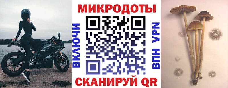 купить наркоту  Красково  omg   Галлюциногенные грибы прущие грибы 